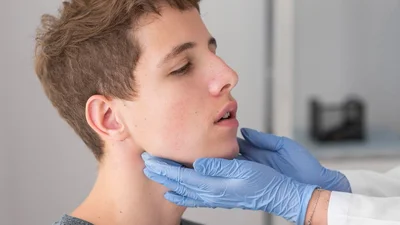 Mandible vs. Maxilla: Differences and Functions Explained