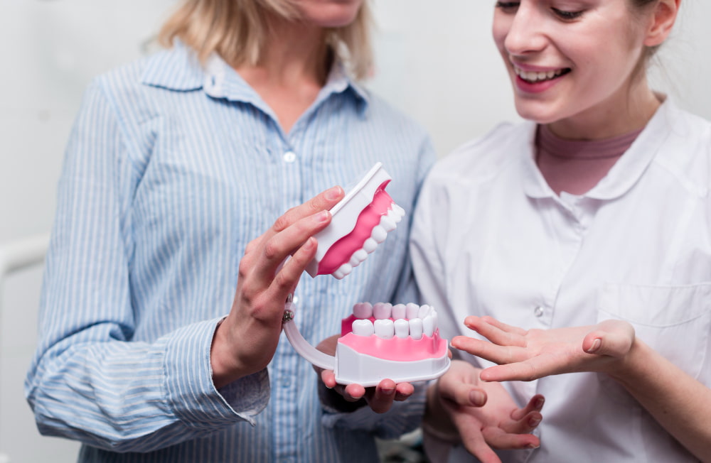 Two women examine a dental model of teeth and gums. One holds the model open, smiling, wearing a white coat.