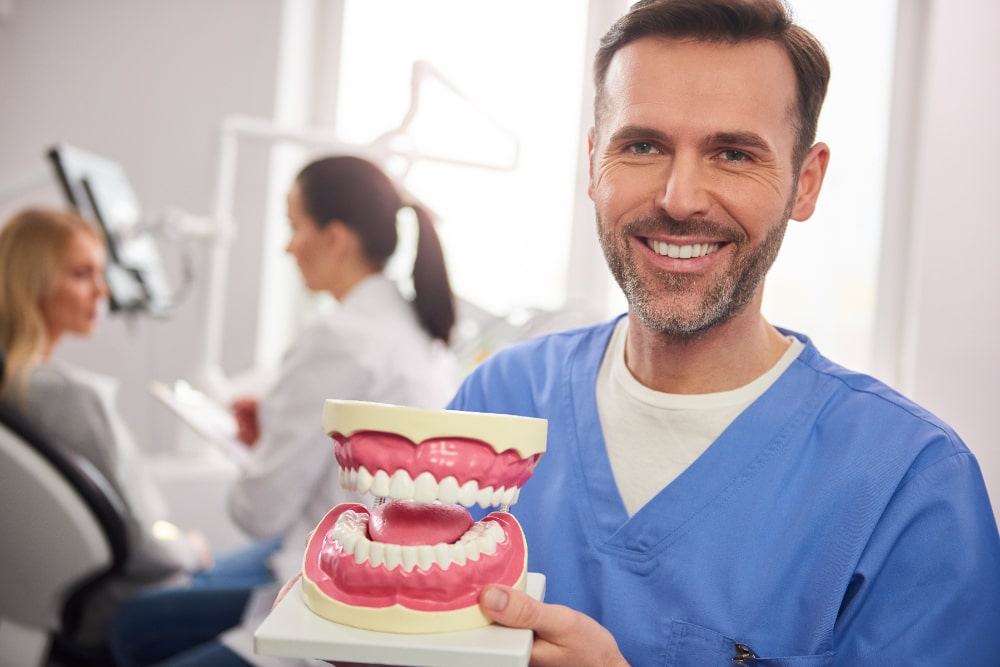 Smiling dentist in blue scrubs holds a dental model in a bright clinic.