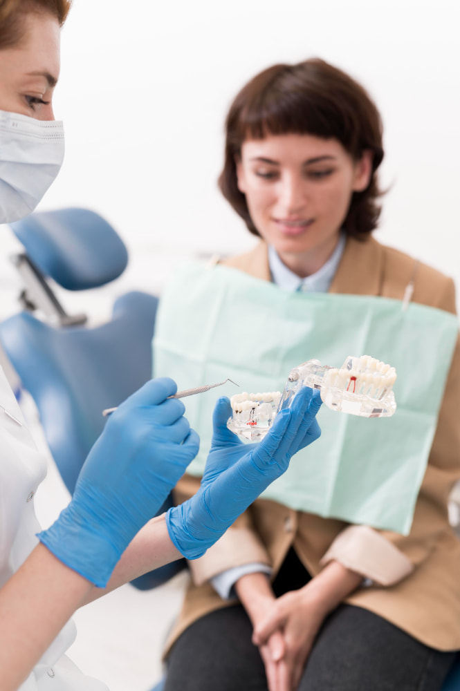 Dentist using a tooth model to explain treatment to a patient.