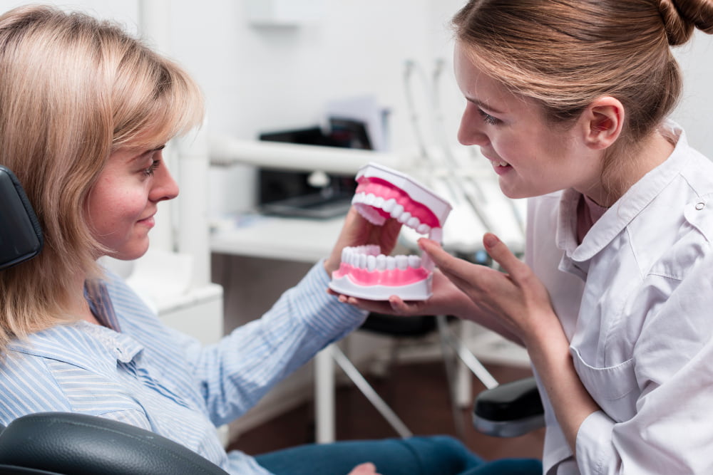 A dentist shows a smiling woman a model of teeth in a bright dental office.